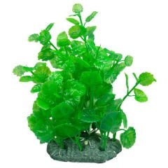 Chicos M-413 Plastik Akvaryum Bitkisi 11 cm