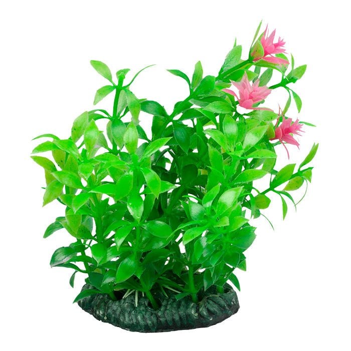 Chicos M-432 Plastik Akvaryum Bitkisi 11 cm