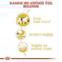 Royal Canin Siamese 2 kg
