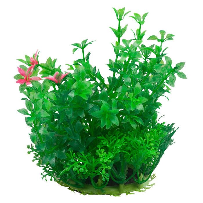 Chicos M-536 Plastik Akvaryum Bitkisi 11 cm
