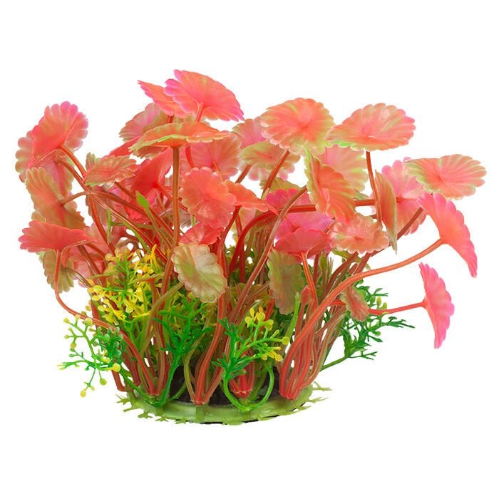 Chicos M-540 Plastik Akvaryum Bitkisi 11 cm