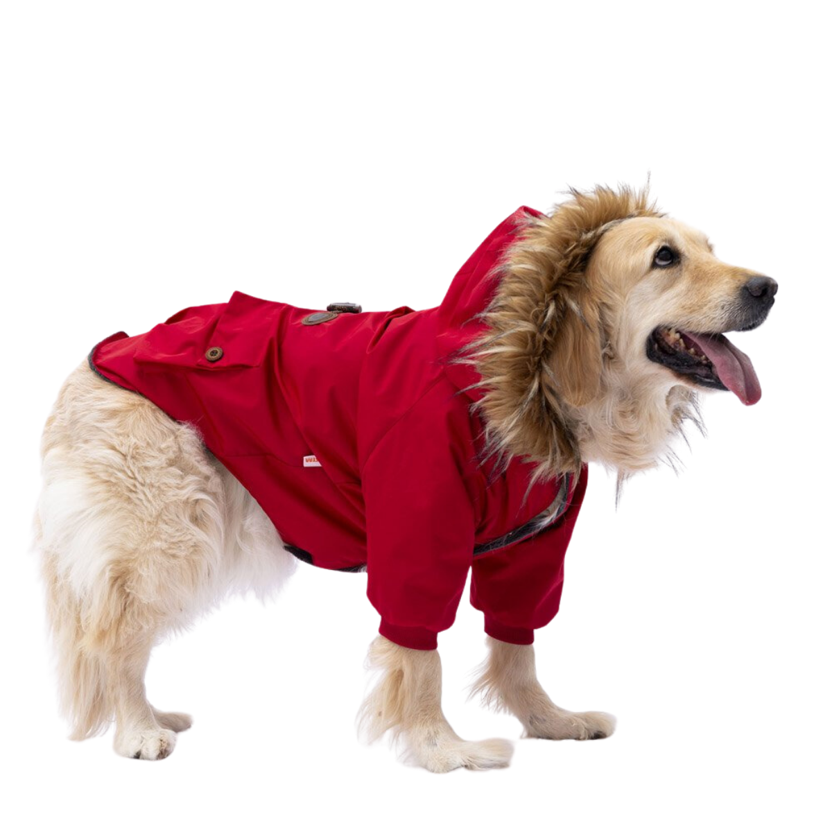 PawStar Kırmızı Charles Orta Irk Köpek Yağmurluk Mont 4XL