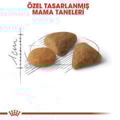 Royal Canin Savour Exigent 2 Kg Seçici İştaha Sahip Kedi Maması