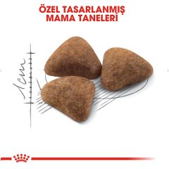 Royal Canin Indoor 27 2 kg