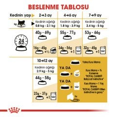 Royal Canin Kitten Persian 2 kg