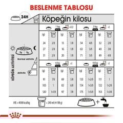 Royal Canin Mini Dermacomfort 3 kg Köpek Maması