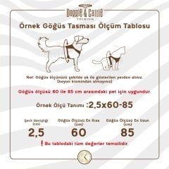 Doggie Gerçek Deriden El Yapımı Dragon Model Köpek Göğüs Tasması XL-3x75-90cm - Black