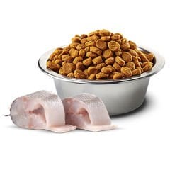 N&D White Canine Levrek Pirinç Rezene Spirulina Adult Mini 2 Kg Köpek Maması