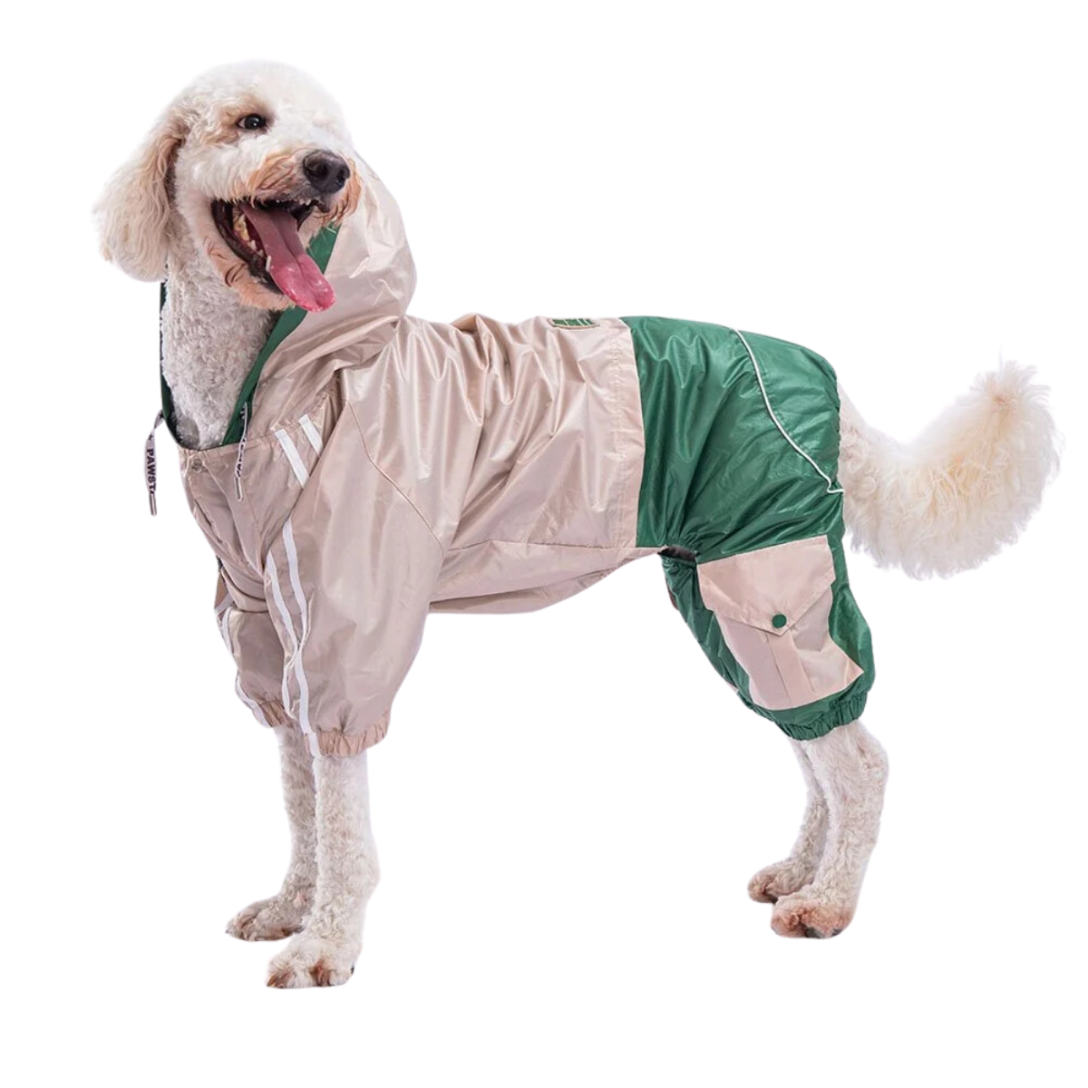 PawStar Bej Yeşil Bicolor Büyük Irk Tulum Yağmurluk 6XL