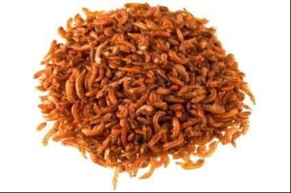 AHM SD Gammarus 50 gr - Açık Paket
