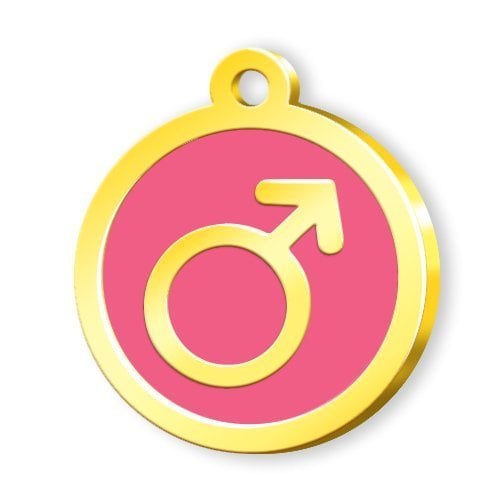 Dalis Altın Renkli Mineli Erkek Sembol Desenli Künye - Pembe