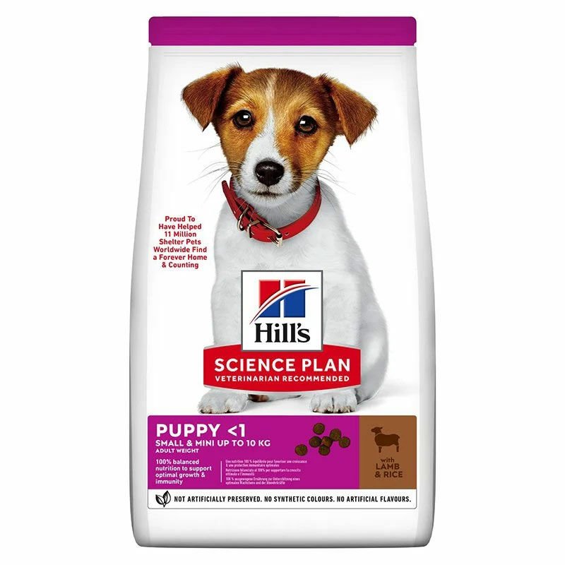 Hills Small Mini Puppy Küçük Irk Kuzu Etli Yavru Köpek Maması 3 Kg