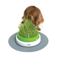 Hagen Catit 50755 Senses Kedi Çimi Oyun Merkezi