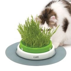 Hagen Catit 50755 Senses Kedi Çimi Oyun Merkezi