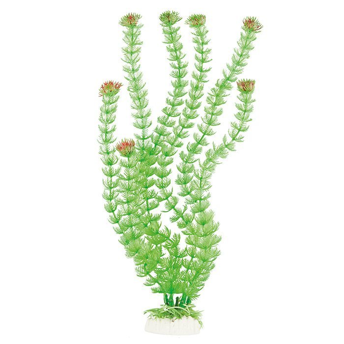 Chicos 013 Akvaryum için Plastik Bitki 16''