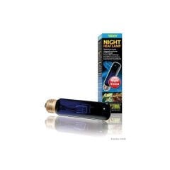 Exo Terra Night Heat Lamp 15 W Teraryum Gece Lambası