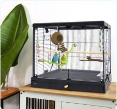 Dayang Üstten Açılır Cam Kafes 62 x 42 x 55 cm Siyah