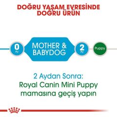 Royal Canin Mini Starter Mother Baby Dog 1 Kg Yavru Köpek Maması