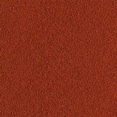 Tetra Discus Granul 100 gr - Açık Paket