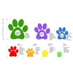Pawz Yeşil Köpek Galoşu XLarge