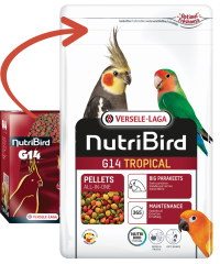 Versele Laga Nutribird G14 Tropical Paraket Pelet Yem 10 kg