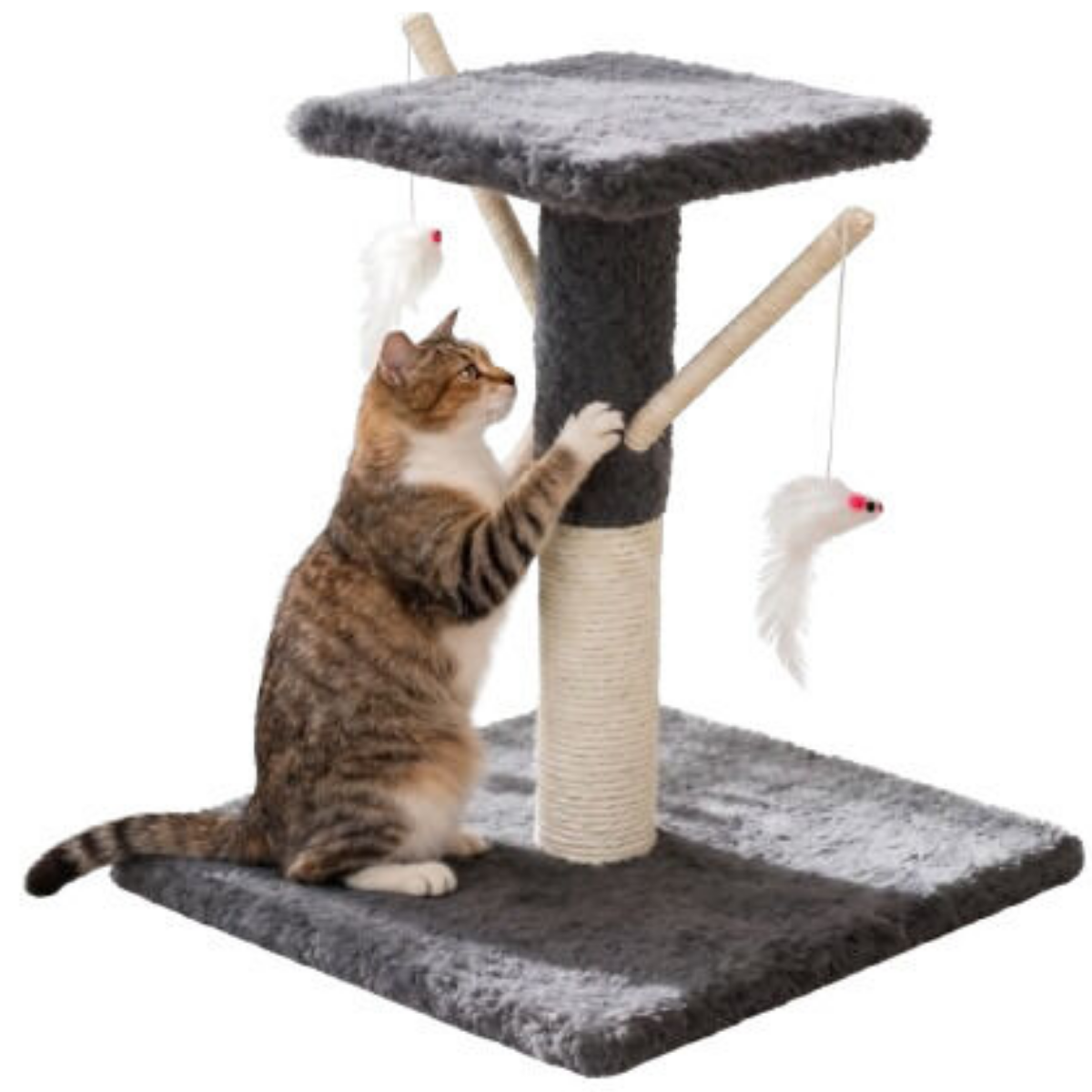 Tommy Teraslı Kedi Tırmalama Tahtası Çok Renkli 34 x 34 x 43 cm