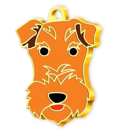 Dalis Altın Renkli Fox Terrier Köpek Künyesi