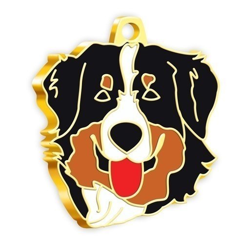 Dalis Altın Renkli Avustralya Çoban Köpeği Köpek Künyesi