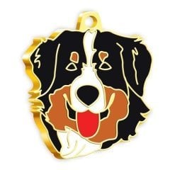 Dalis Altın Renkli Avustralya Çoban Köpeği Köpek Künyesi