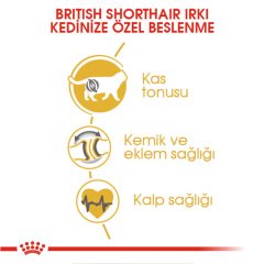 Royal Canin British Short Hair 10 Kg