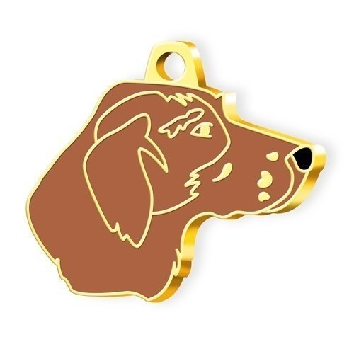 Dalis Altın Renkli Kahverengi Pointer Köpek Künyesi