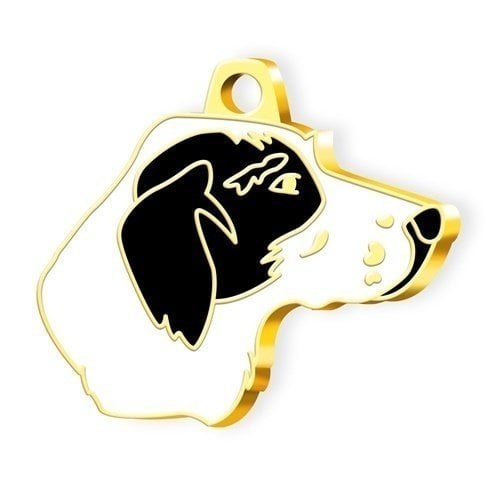 Dalis Altın Renkli Siyah Beyaz Pointer Köpek Künyesi
