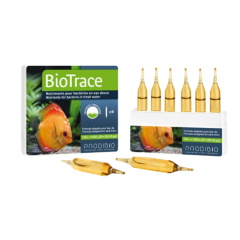 Prodibio BioTrace 6 Ampul
