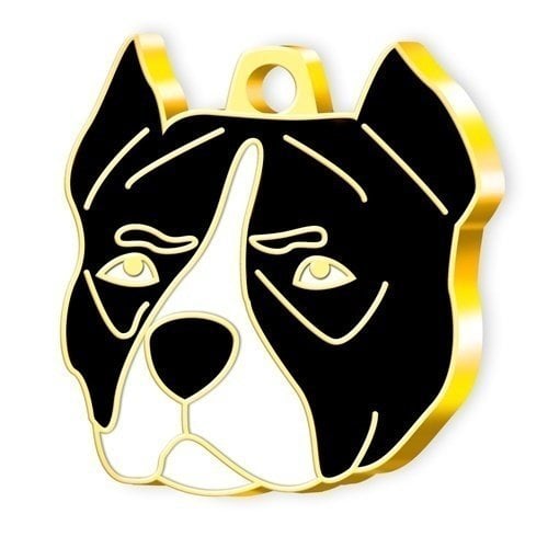 Dalis Altın Renkli Pitbull Köpek Künyesi - Siyah