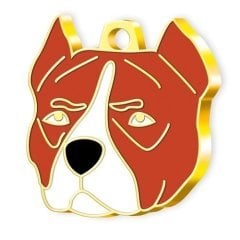 Dalis Altın Renkli Pitbull Köpek Künyesi