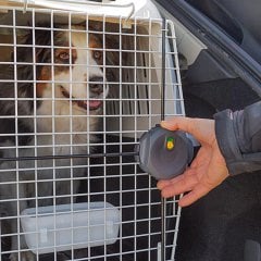 Ferplast Atlas 50 Professional Gri 55,5 x 81 x h 59,5 cm