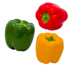 Eastland Plastik Biber 6,8 cm Köpek Oyuncağı