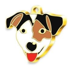 Dalis Altın Renkli Jack Russel Köpek Künyesi
