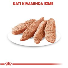 Royal Canin Dermacomfort Pouch 85 gr