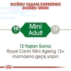 Royal Canin Mini Adult Pouch 85 gr
