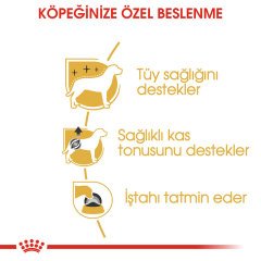 Royal Canin Poodle Pouch 85 gr