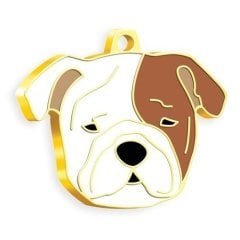 Dalis Altın Renkli Bulldog Köpek Künyesi