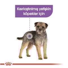 Royal Canin Sterilised Dog Loaf Pouch 85 gr