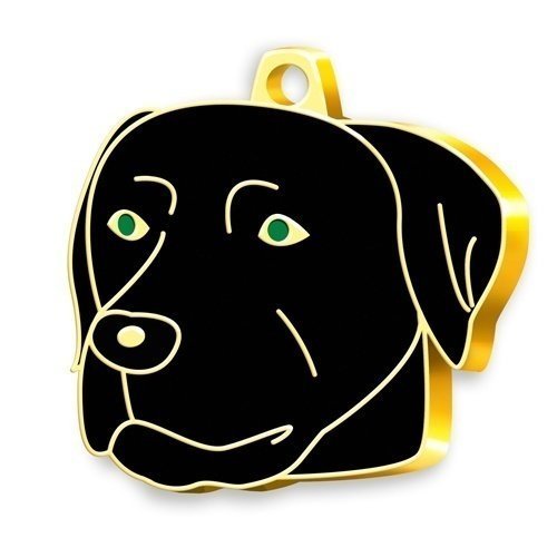 Dalis Pet Altın Renkli Black Labrador Köpek Künyesi