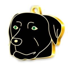 Dalis Pet Altın Renkli Black Labrador Köpek Künyesi
