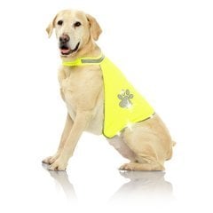 Reflektörlü Gece Yürüyüş Köpek Yeleği Pawise Large