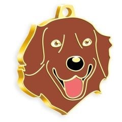 Dalis Altın Renkli Kızıl Golden Retriever Köpek Künyesi