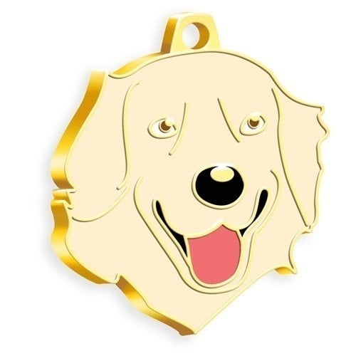 Dalis Altın Renkli Golden Retriever Köpek Künyesi