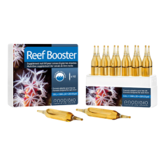 Prodibio Reef Booster 12 Ampul