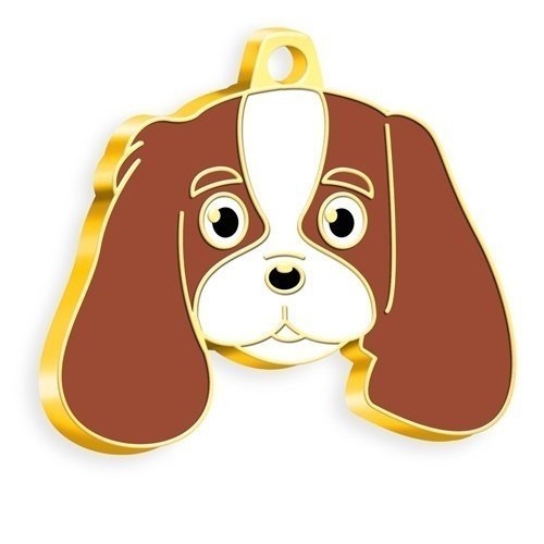 Dalis Altın Renkli Kahverengi Cavalier King Charles Köpek Künyesi